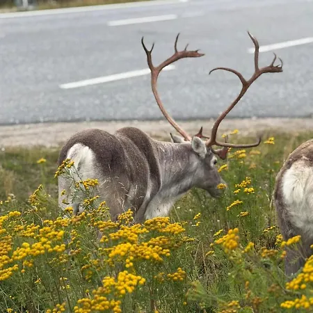 Modern With Incredible Panoramic Views Apartment