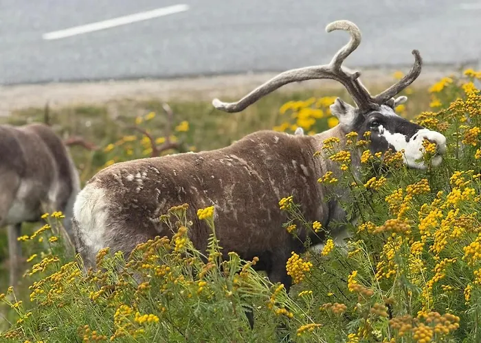 Modern With Incredible Panoramic Views