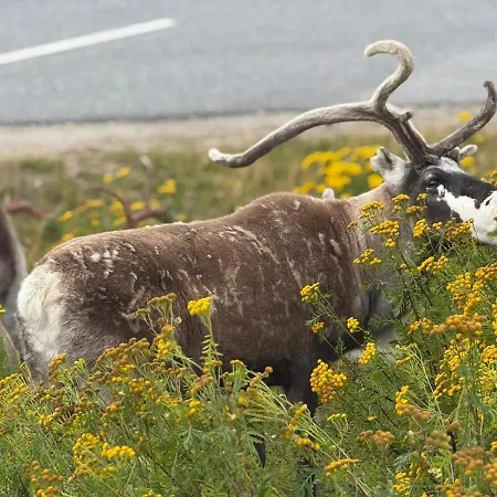 Modern With Incredible Panoramic Views