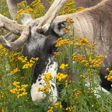 Modern With Incredible Panoramic Views Appartement