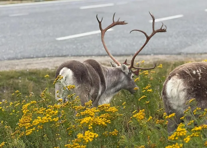 Modern With Incredible Panoramic Views Appartement