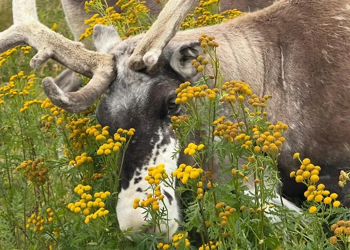 Modern With Incredible Panoramic Views Appartement